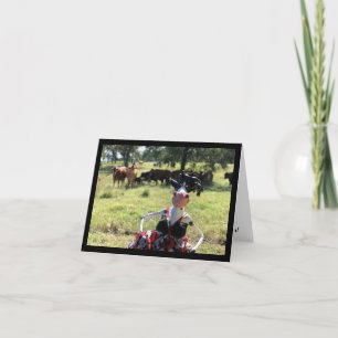 Mootilda zal u in een goede Stemming krijgen Kaart