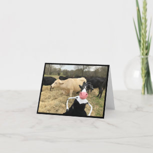 Mootilda zegt "HAY!" Kaart