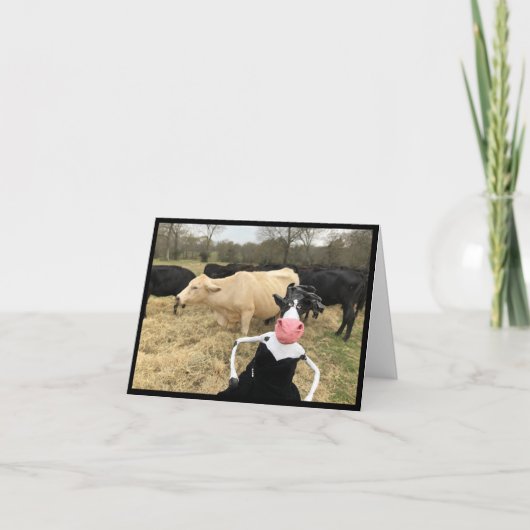 Mootilda zegt: "HAY!" Kaart (Voorkant)