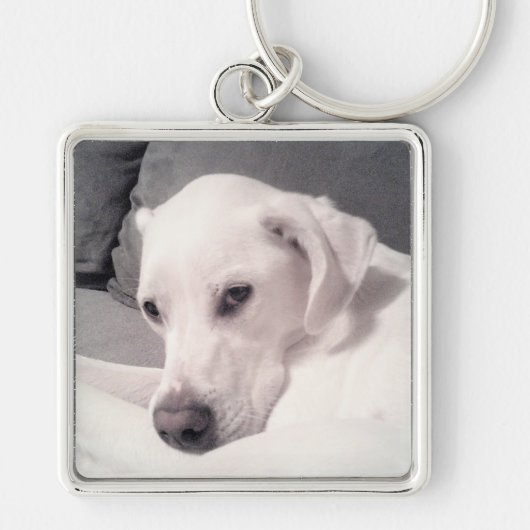 Mooy Regal White Labrador Mix Dog Gray Keycha Sleutelhanger (Voorkant)