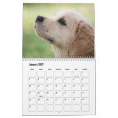 Moppige Puppies Agenda Kalender (Jan 2027)