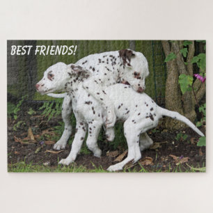 Moppige puppyhonden spelen legpuzzel