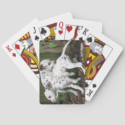Moppige puppyhonden spelen pokerkaarten (Achterkant)