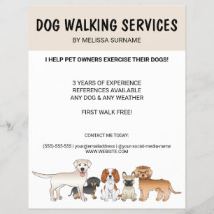 Moppige Tekenfilmhonden - Hondenuitlaatservices Flyer