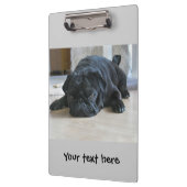 Moppige Zwarte Pug Puppymap Klembord (Links)