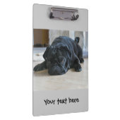 Moppige Zwarte Pug Puppymap Klembord (Rechts)