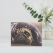 Mops Aura Briefkaart (Staand voorkant)