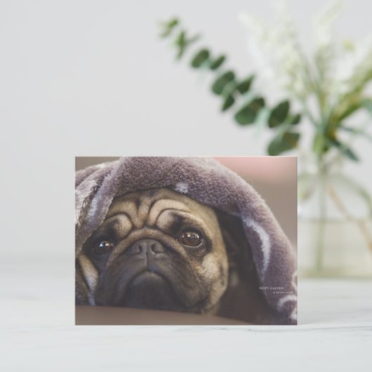 Mops Aura Briefkaart (Staand voorkant)