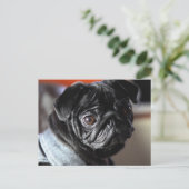 Mops Briefkaart (Staand voorkant)