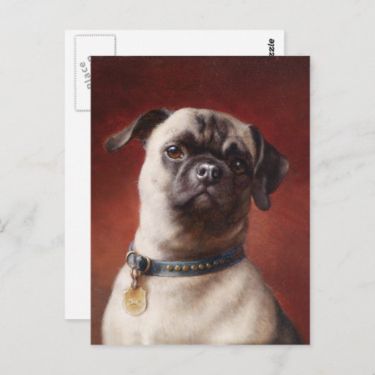 Mops Briefkaart (Voorkant / Achterkant)