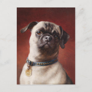Mops Briefkaart
