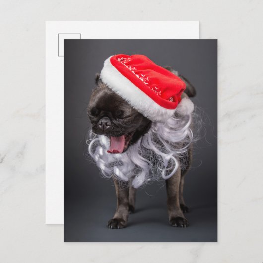 Mops die gaapt in een kerstmuts en -baard feestdagenkaart (Voorkant / Achterkant)