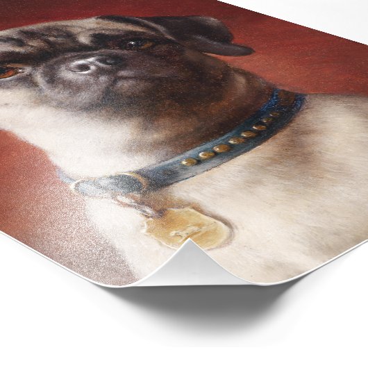 Mops Foto Afdruk (Hoek)
