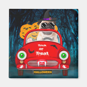 Mops Hond Bestuurt Auto Griezige Halloween Magneet