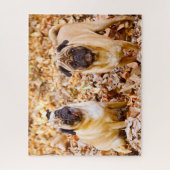 Mops-honden. Legpuzzel (Verticaal)