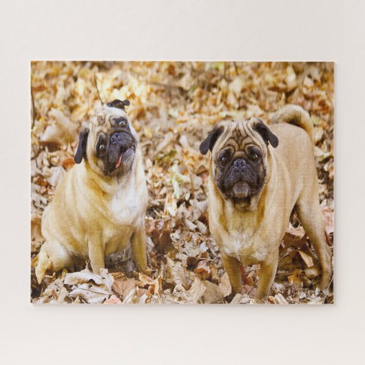 Mops-honden. Legpuzzel (Horizontaal)