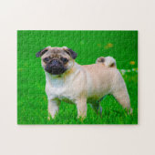 Mops-honden. Legpuzzel (Horizontaal)