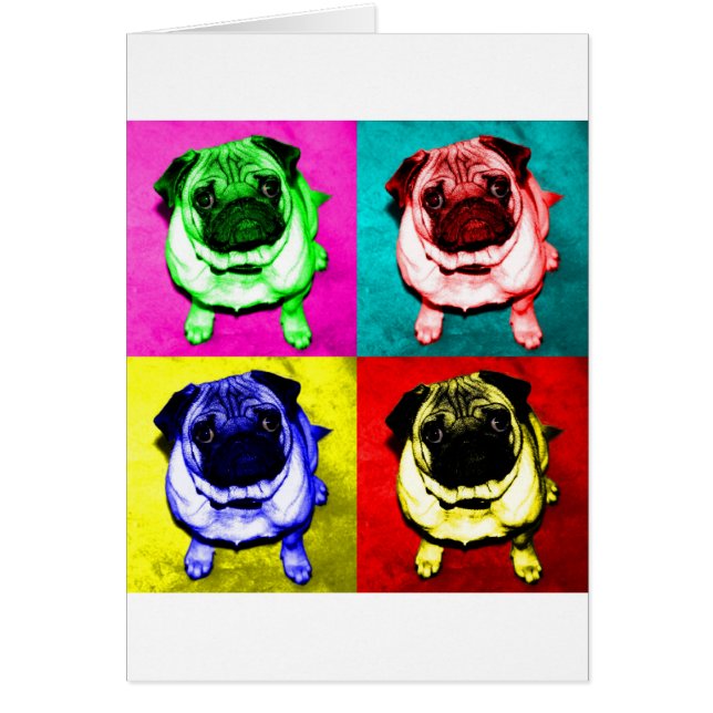 Mops Jack in 4 Farben (Voorkant)