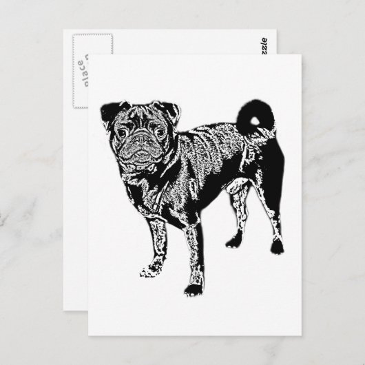 Mops Jack monochrom Briefkaart (Voorkant / Achterkant)