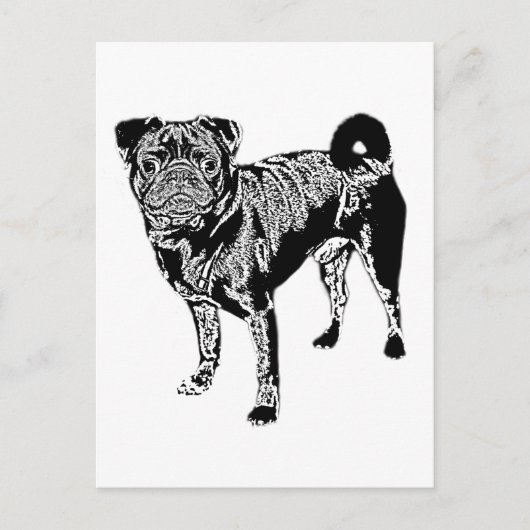 Mops Jack monochrom Briefkaart (Voorkant)