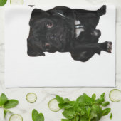 Mops Jack und Richi Theedoek (Gevouwen)