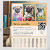 Mops puppy's te koop flyer sjabloon QR code (Voorkant / Achterkant)