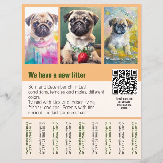 Mops puppy's te koop flyer sjabloon QR code (Voorkant)