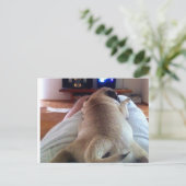 Mops relaxen briefkaart (Staand voorkant)