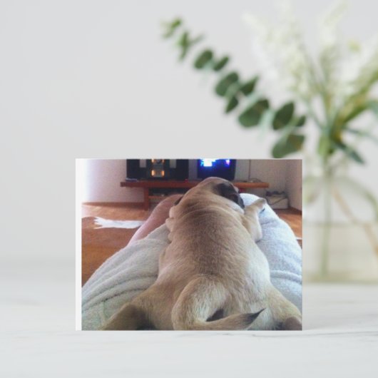 Mops relaxen briefkaart (Staand voorkant)