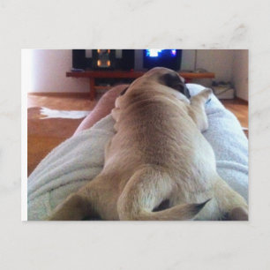 Mops relaxen briefkaart