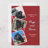Mopsen en kussen drie foto vakantiekaart kaart (Voorkant)