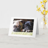 Mopshond Liefde Notitiekaarten (Gele Bloem)