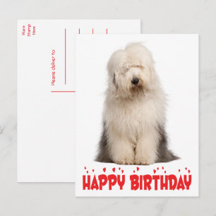 Mopshond Old English Sheepdog Verjaardag Post Briefkaart