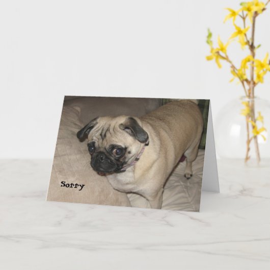 Mopshond - Sorry Kaart (Gele Bloem)