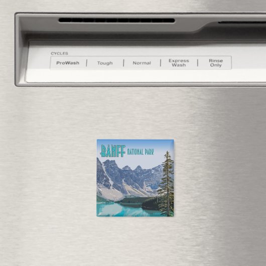 Moraine Lake Banff National Park Canada  Magneet (Insitu (Vaatwasser))