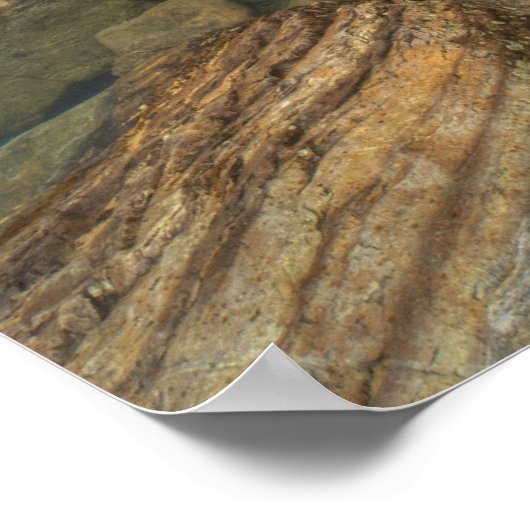 Moraine Lake Poster (Hoek)