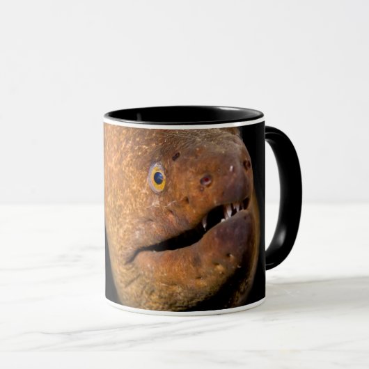 Moray Eel Mok (Voorkant rechts)