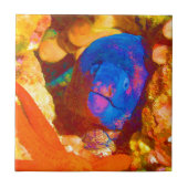 Moray Eel Tegeltje (Voorkant)