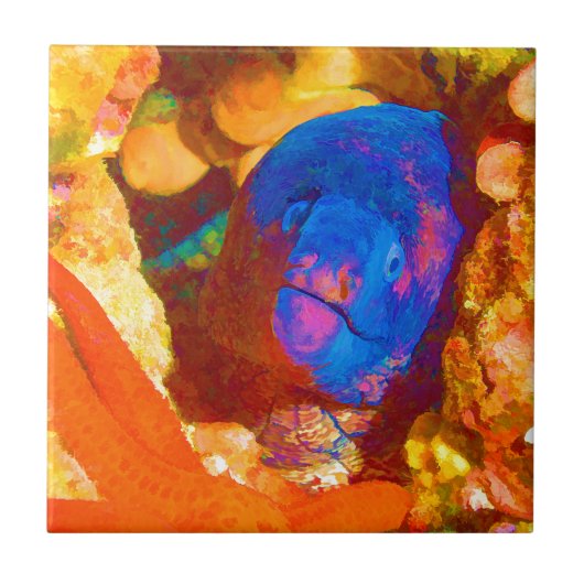 Moray Eel Tegeltje (Voorkant)