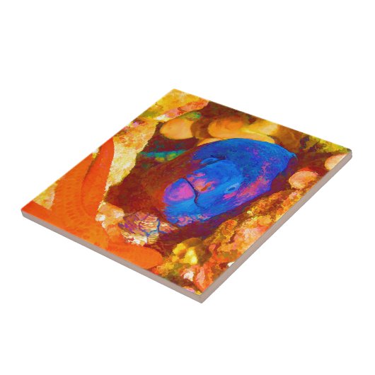 Moray Eel Tegeltje (Zijkant)