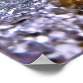 Moray en Friends Poster (Hoek)