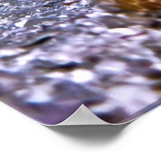 Moray en Friends Poster (Hoek)