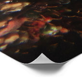 Moray in het koraal poster (Hoek)