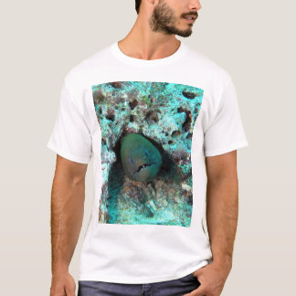 Moray paling in Fiji T-shirt