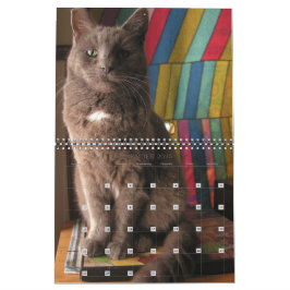 Mordi, Basil & Friends Kattenkalender 2025 Kalender