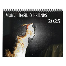 Mordi, Basil & Friends Kattenkalender 2025 Kalender