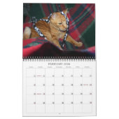 Mordi, Basil & Friends Kattenkalender 2025 Kalender (Feb 2026)