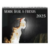 Mordi, Basil & Friends Kattenkalender 2025 Kalender (Hoes)