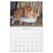Mordi, Basilicum & Vrienden Cat Kalender 2024 (Jan 2027)