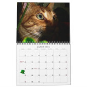 Mordi, Basilicum & Vrienden Cat Kalender 2024 (Mar 2026)